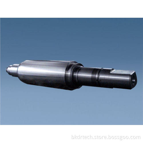 Skin Pass Roll For HSM